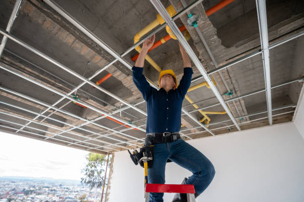Best Commercial Plumbing Services  in Zelienople, PA